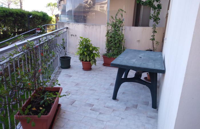 Holiday Rental Apartment - 5